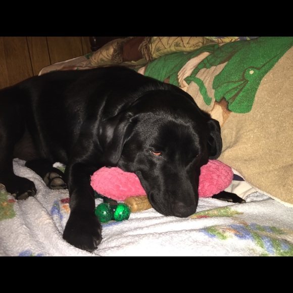 Meet your Posher, Patti - Picture 1 of 1